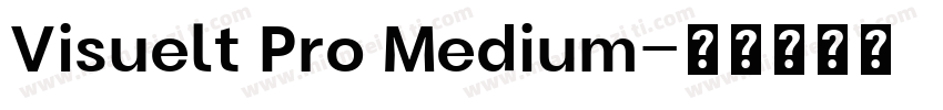 Visuelt Pro Medium字体转换